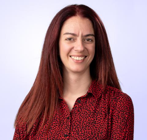 Prof. Dr. Eleni Chatzi